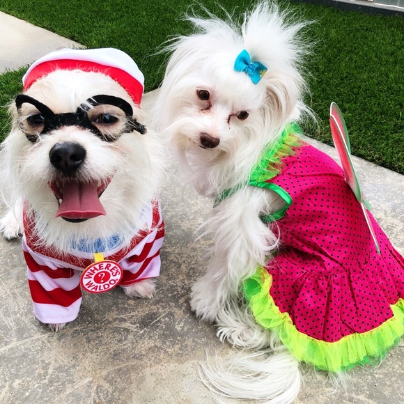 Meet your Posher, Lisa - Picture 15 of 15